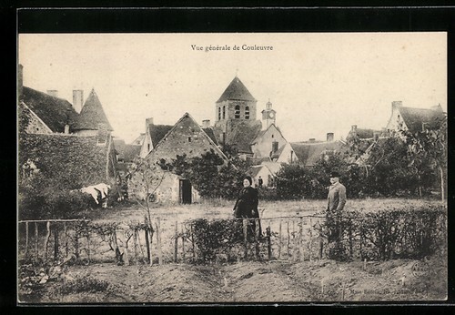 Cpa couleuvre vue - vue, generale