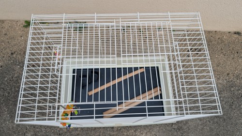 Cage oiseaux - à,