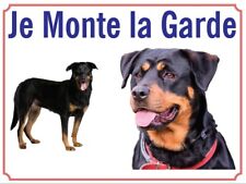 Attention au chien, Je monte