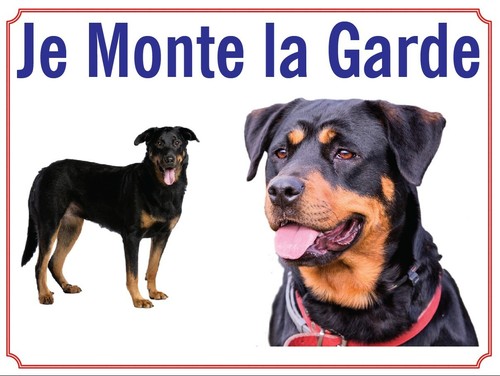 Attention chien je monte - je,