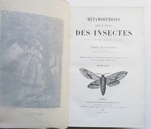 Métamorphoses moeurs - moeurs, et
