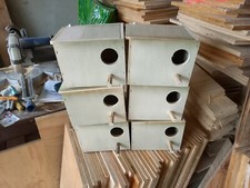 6 nids perruche ondulee