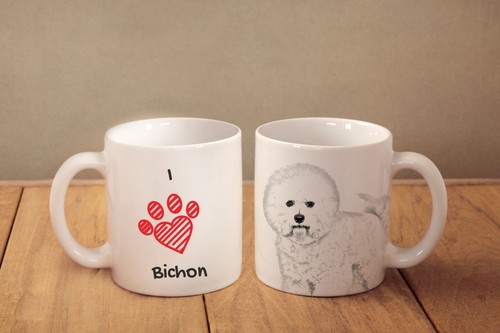 Bichon frisé une - -,