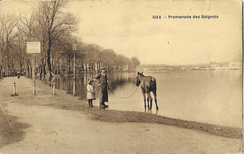 Cpa animée dax - animée,