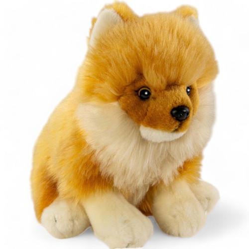 Carl dick chien poméranie - dick, de
