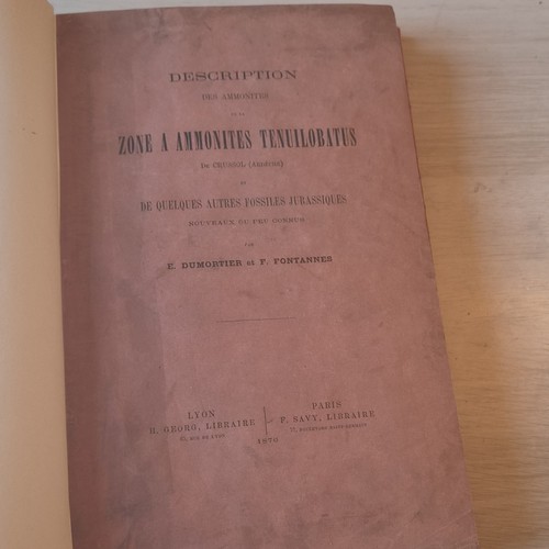 Dumortier fontannes - dumortier, &