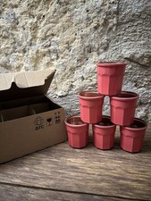 6 tasses espresso Luminarc