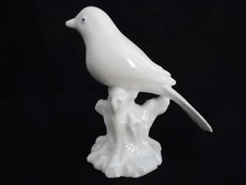 MAGNIFIQUE OISEAU SUR TRONC D