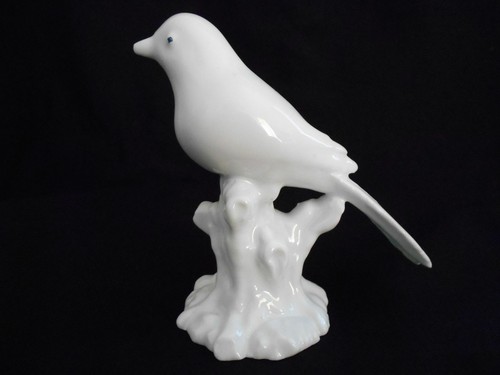 Magnifique oiseau sur tronc - oiseau,