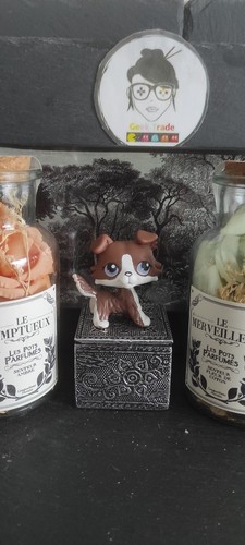 Littlest petshop pet - pet, shop