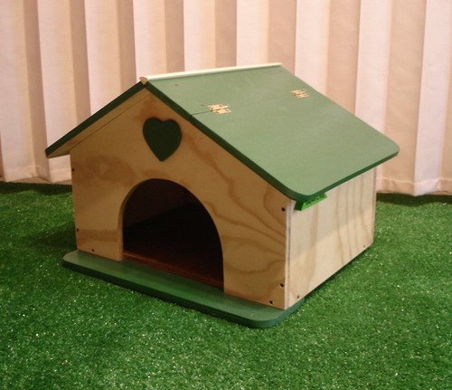 Maison pour tortues - pour, terre