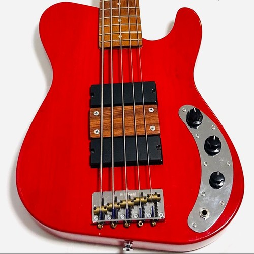 Basse cordes personnalisée - 5,