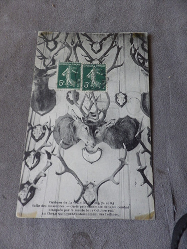 Cpa chasse courre - cpa,