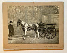 J. DELTON Photographie