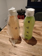 Lot 2 Gourde eco sport 750 ml