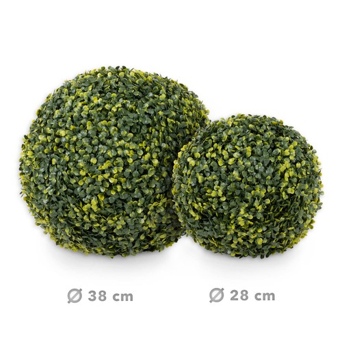 Boule buis boxwood plantes - de,