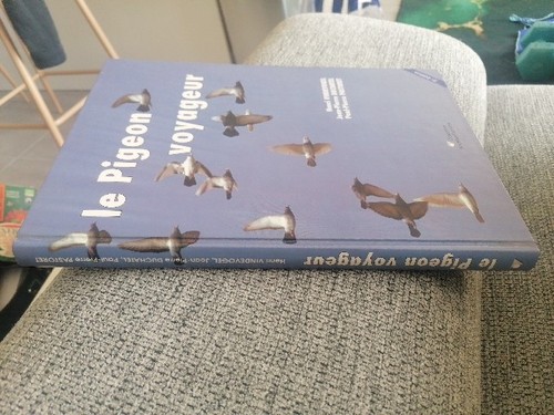 Pigeon voyageur - le,
