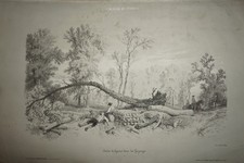 FEROGIO (1805-1888) GRANDE