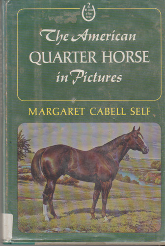 The american quarter horse - american,