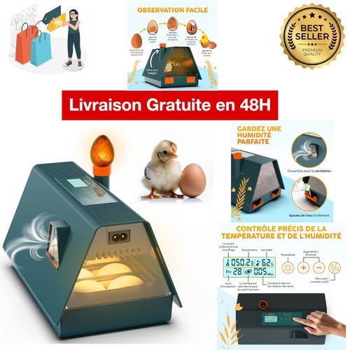 Couveuse automatique œufs - 10,