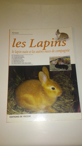 Les lapins lapin nain - les,