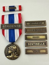 MEDAILLE de la PROTECTION