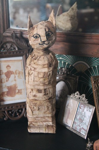 Momie chat égyptienne - chat,