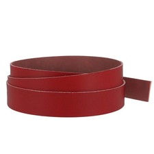 Lanière en cuir de collet