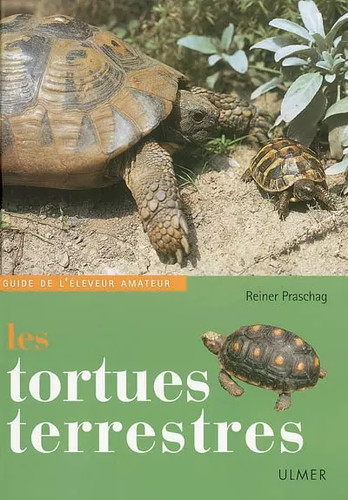Les tortues terrestres - tortues, terrestres,
