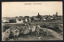 Old postcard Pommard, general view 