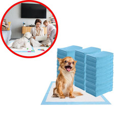 Lot 300 Tapis Éducateurs