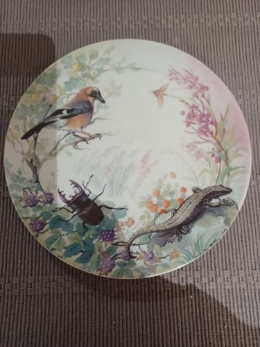 Assiette limoges oiseau - assiette, ,