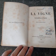 Culture de la vigne et