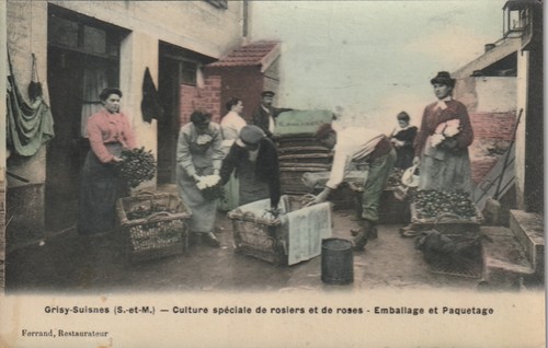 Cpa grisy suisnes culture - cpa, grisy-suisnes