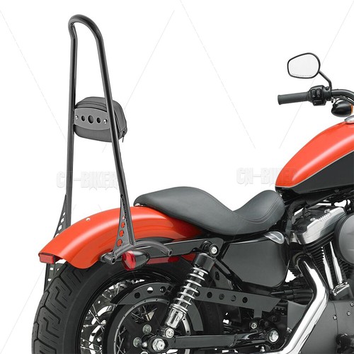 Detachable sissy bar passenger - detachable,