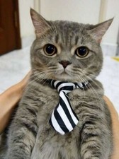 2 Nœud papillon multi couleur pour chat et chien ajustable avec effet sonor