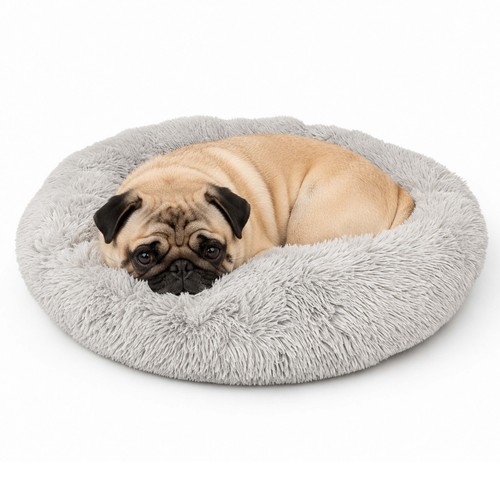 Lit pour chien - chien,,