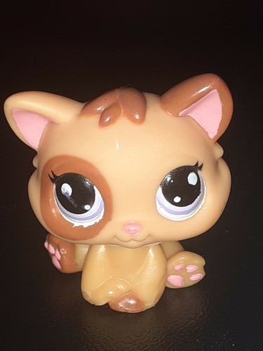 Petshop original cat - petshop,