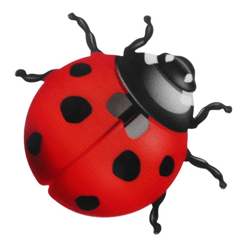 Déco maison coccinelle - maison,