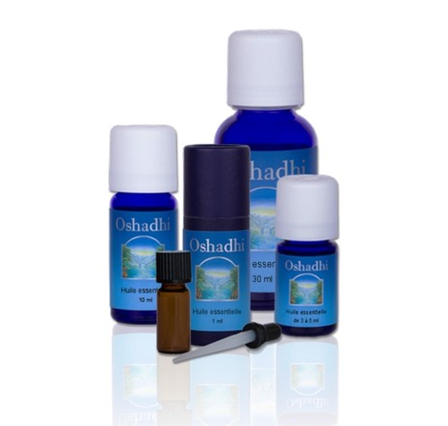 Huile essentielle eucalyptus - huile,