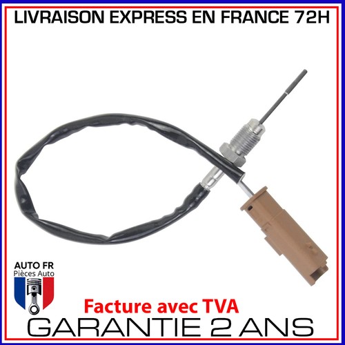 Sonde température gaz