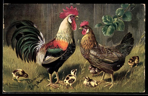 Carte postale artiste - d'artiste, alfred