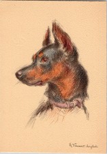 art Vincent Anglade Beauceron dog breed portrait original 1940-1950s postcard