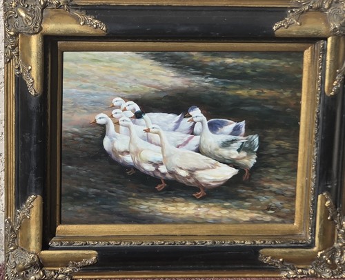 Harding famille de canards - famille,