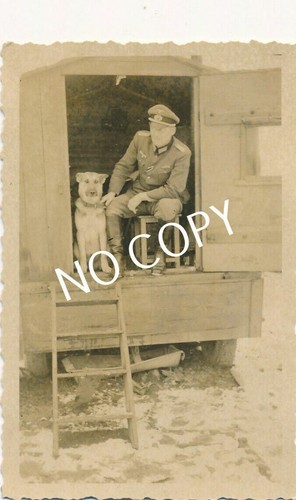 Photo commandant dans - dans, la