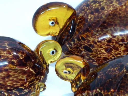1970 trois tortues - , ambre