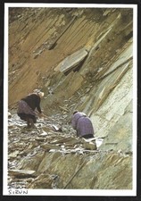 1992 -- SIZUN . SLATE WORK. 3Z712