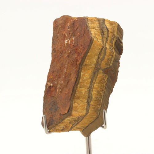 Tiger eye 448 0 - eye., 448.0