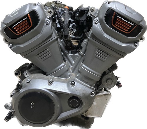 Harley davidson pan - hd,