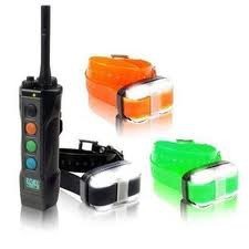 Collier de dressage Dogtra